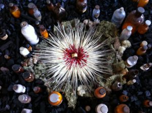 Ulrike_Vidalain-Installation