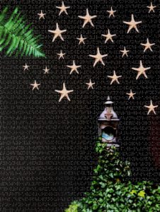 Esther Ségal, photographe, Série Féerie, tirage couleur sur rag et poinçons, 50 x 40 cm