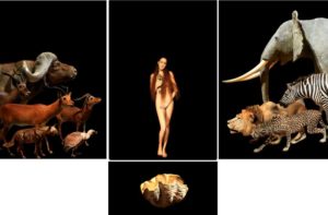 Esther Ségal, photographe. Extrait Série des Sables, tirage couleur sur rag et contre-collage dibond Polyptique 90 x 150 cm, 11 exemplaires